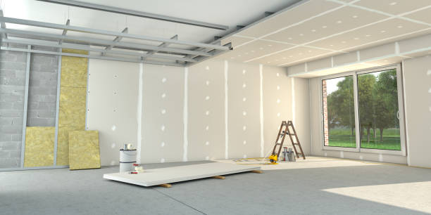 Best Local Insulation Services  in Eagle Grove, IA