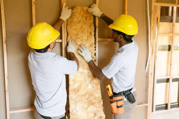 Best Home Insulation Services  in Eagle Grove, IA